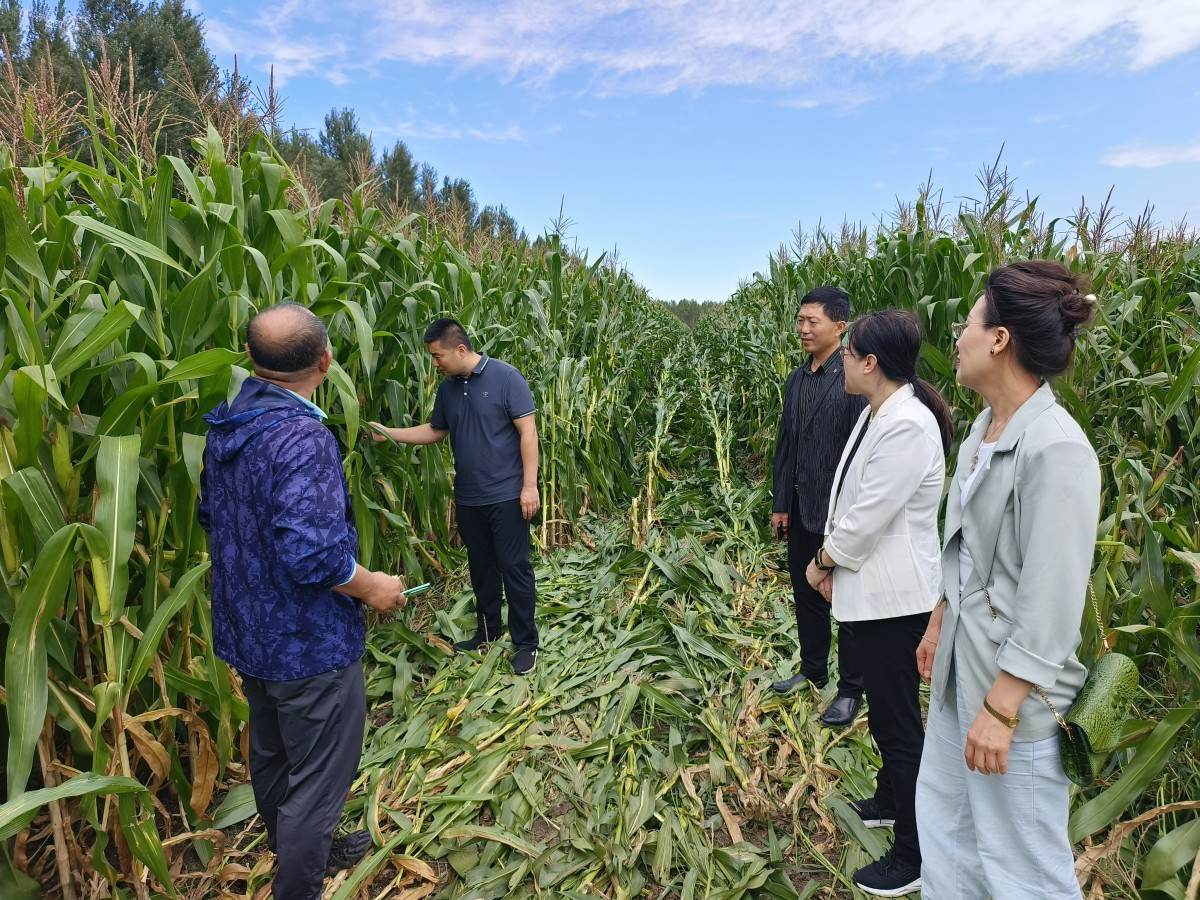 1694241055422910.jpg 2.jpg